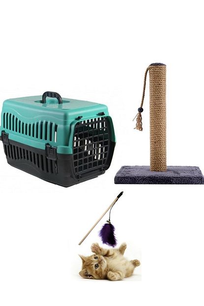 Cinar Kedi Tasima Seti 3 Prc Yesil Trendyol
