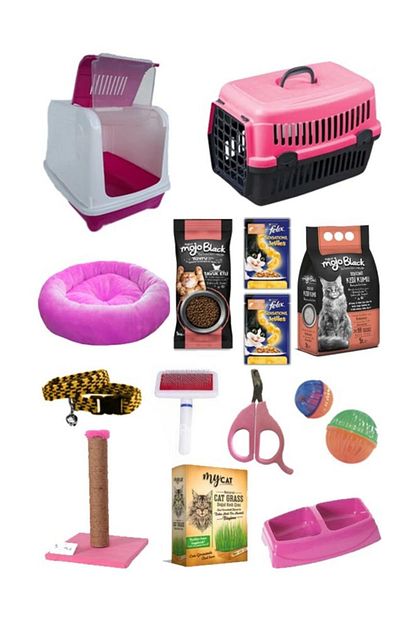 Pet Style Kedi Baslangic 15 Li Paket Trendyol