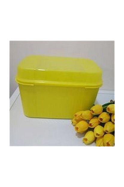Tupperware Mega Kutu Trendyol