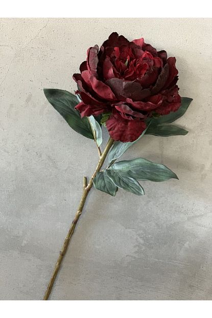 Braya Fleur Yapay Kirmizi Sakayik Dali 70 Cm Trendyol