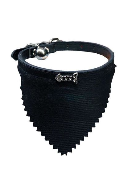Ans Fularli Zilli Kedi Boyun Tasmasi 30cm Siyah Trendyol