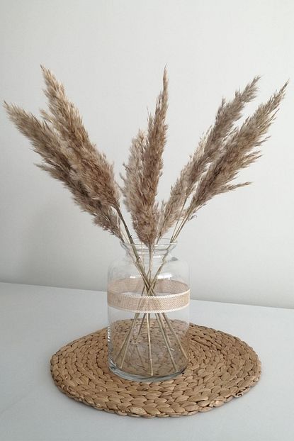 Pampas Satin Al