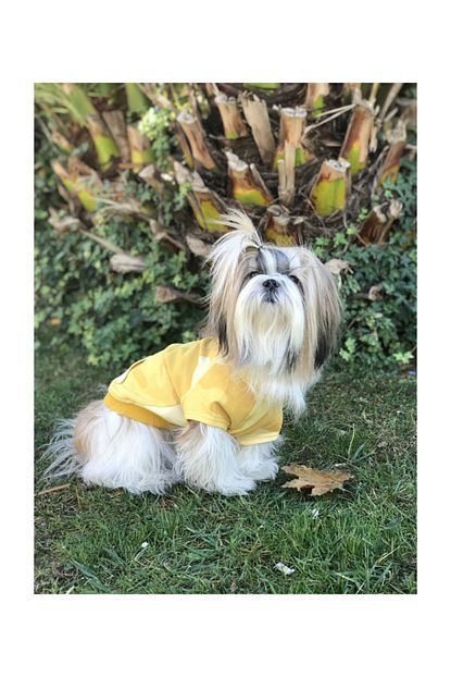 Cream Grey Maeve Sari Kamuflaj Kapsonlu Kopek Kiyafeti Sweatshirt Trendyol