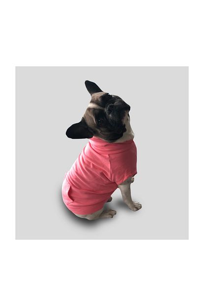 Cream Grey Peony Pembe Kapsonlu Kopek Kiyafeti Sweatshirt Trendyol