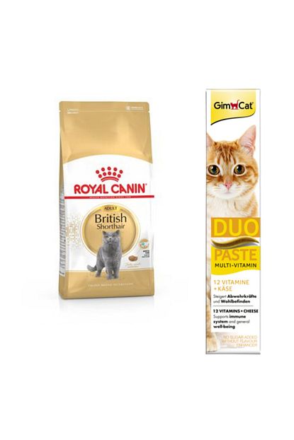 Royal Canin British Shorthair Yetiskin Kedi Mamasi 2 Kg Gimcat Classic Kalsiyum Kedi Pudingi 150 Gr Trendyol