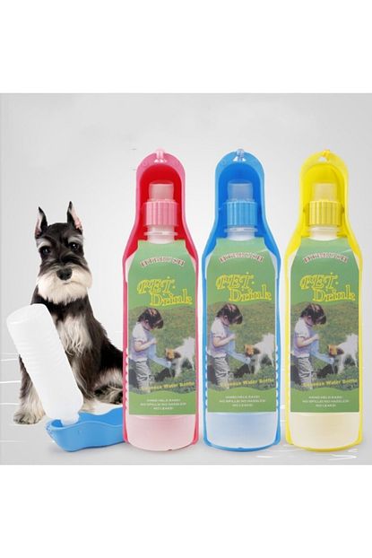 Daisy Kedi Kopek Seyehat Sulugu Trendyol