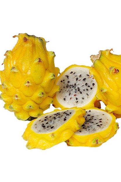 Baktar Tuplu Nadir Sari Pitaya Yellow Dragon Fruit Ejder Meyvesi Fidani Trendyol