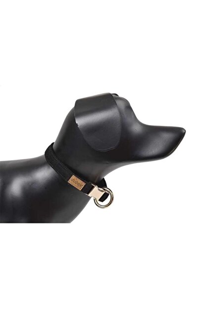 Gdog G Dog Kopek Boyun Tasmasi Siyah Xs S Trendyol