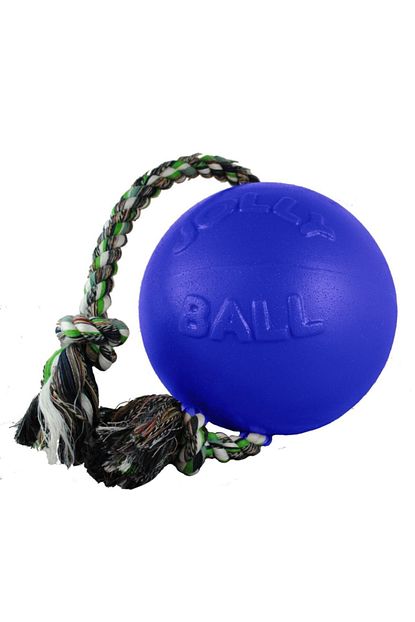 Jolly Pet Romp N Roll 8 Inc Trendyol