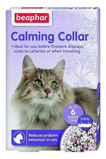 Cesitli Sakinlestirici Kedi Tasmasi Trendyol