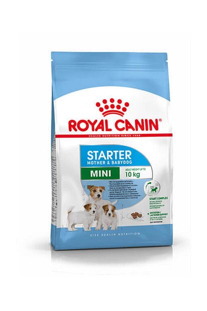 royal canin mini starter kucuk irk yavru kopek mamasi 3 kg fiyati yorumlari trendyol