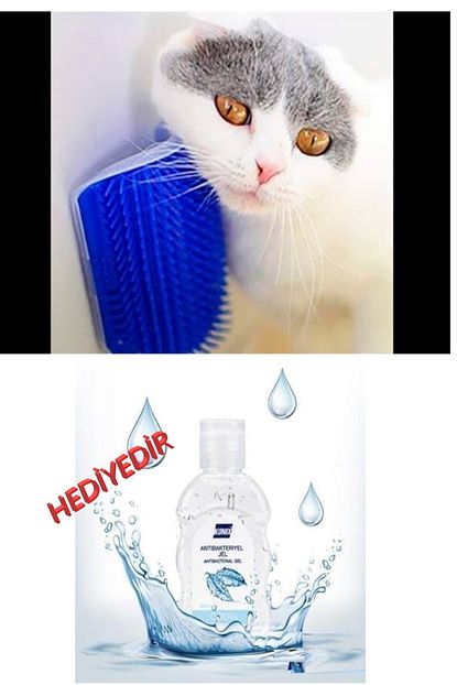 Genc Home Kedi Kasima Masaj Fircasi Cat It Dezenfektan Hediyeli Trendyol