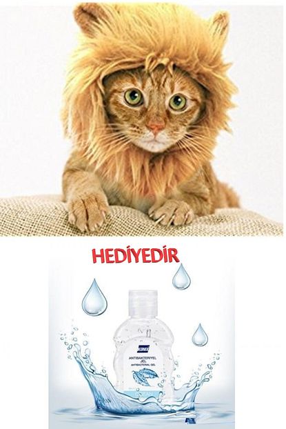 Genc Home Kedi Aslan Yelesi Peruk Dezenfektan Hediyeli Trendyol