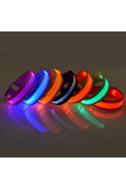 Euro Premium Led Isikli Kopek Tasmasi Kucuk Ve Orta Irk Kopekler Icin Medium Boy Mavi Renk Surpriz Hediye Trendyol