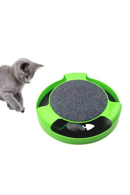 Zubizubi Kedi Fare Kovalama Oyuncagi Yakalama Oyunu Yesil Trendyol