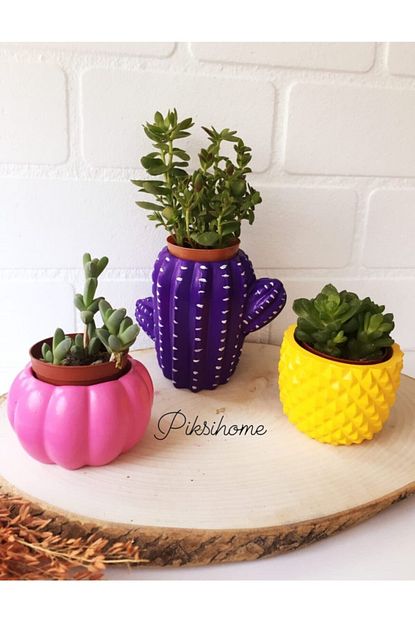 Piksihome El Yapimi 3 Lu Kaktus Ananas Kabak Tasarimli Mini Dekoratif Saksi Ciceksiz Trendyol