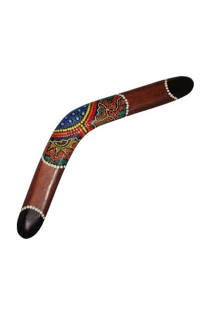 boomerang frizbi oyuncak