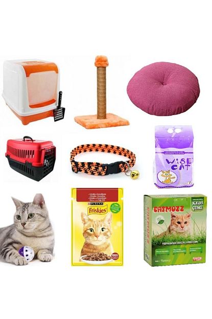 catmozz plus kedi baslangic 10 parca bakim seti fiyati yorumlari trendyol