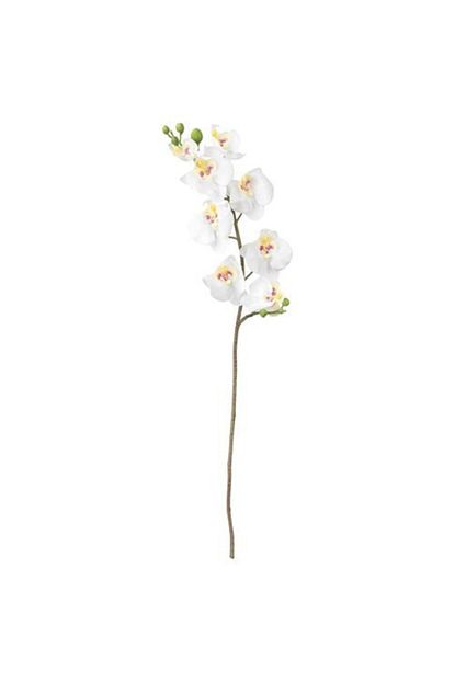 ikea beyaz orkide 60 cm meridyendukkan orkide beyaz yapay cicek bitki fiyati yorumlari trendyol