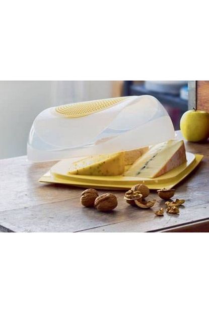 Tupperware Buyuk Peynir Dunyasi Saklama Kabi Trendyol