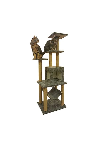 Pethome Kedi Tirmalama Evi Ve Oyun Platformu Trendyol