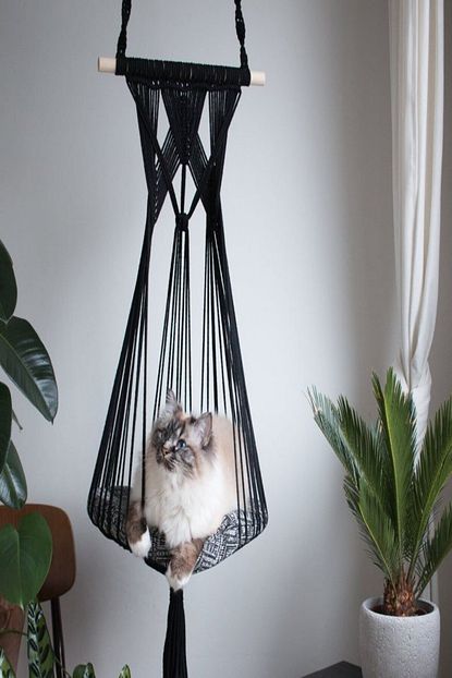 white west inn house kedi yatagi el isi