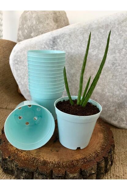 Ekodoga Kaktus Saksisi 5 5x5 Cm 10 Adet Mavi Renk Sukulent Saksisi Uretim Saksisi Plastik Saksi Renkli Saksi Trendyol