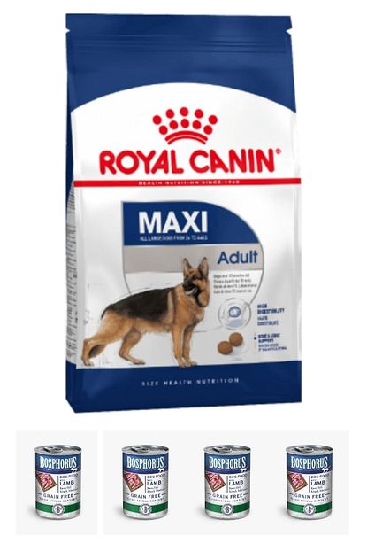 Royal Canin Maxi Adult Kopek Mamasi 15kg 4x415 G Bosphorus Tahilsiz Kuzu Etli Konserve Trendyol