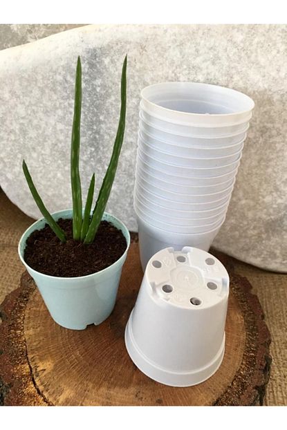 Ekodoga Kaktus Saksisi 5 5x5 Cm 100 Adet Beyaz Sukulent Saksi Uretim Saksisi Plastik Saksi Renkli Saksi Trendyol