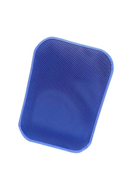Blue Veteriner Mavi 60x45 Cm Elekli Kedi Tuvalet Onu Paspasi Trendyol