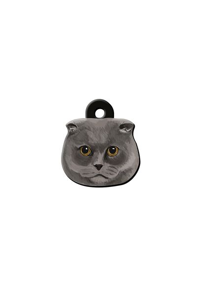 Tagsforever Scottish Kedi Kunyesi Trendyol