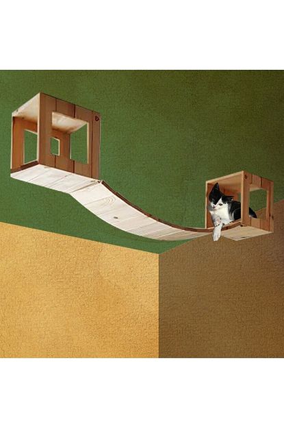 Kedi Kopek Mobilyasi Catply Kedi Yurume Yolu Tavan Modulu Trendyol