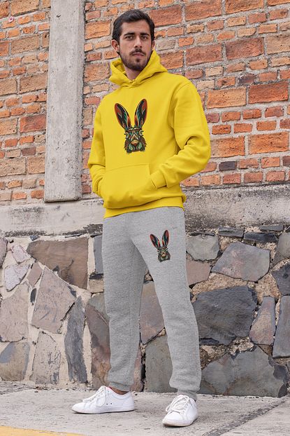 Angemiel Erkek Sari Wear Rengarenk Tavsan Esofman Takimi Kapusonlu Sweatshirt Gri Esofman Alti Trendyol