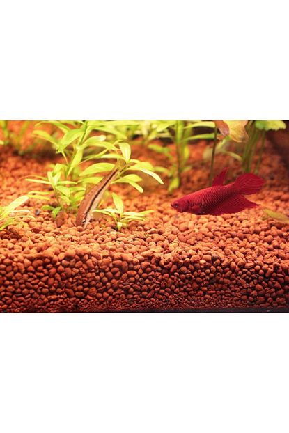Kanki Pet Aqua Bitki Akvaryum Kumu 10 Kg Trendyol