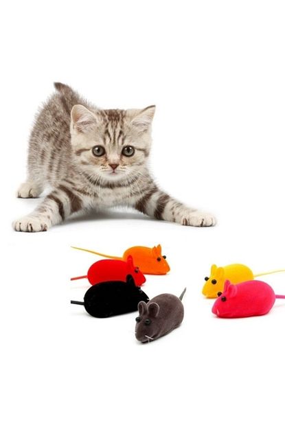 Ans Kedi Oyuncagi Sesli Fare Dort Ayri Renkte Dort Adet 3 6 Cm Trendyol