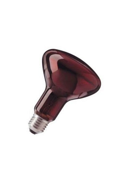General Electric General 100 Watt Infrared Isitan Lamba Ampul Kirmizi Isik Trendyol