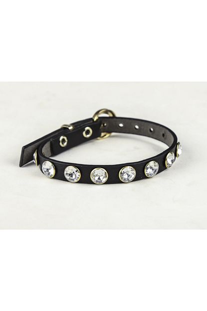 Elite Tamamen Savaroski Tasli Rivetli 1 Cm Metal Tokali Kedi Tasmasi Siyah Trendyol