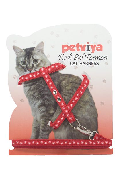 Kyrmyzy Kedi Tasmasy