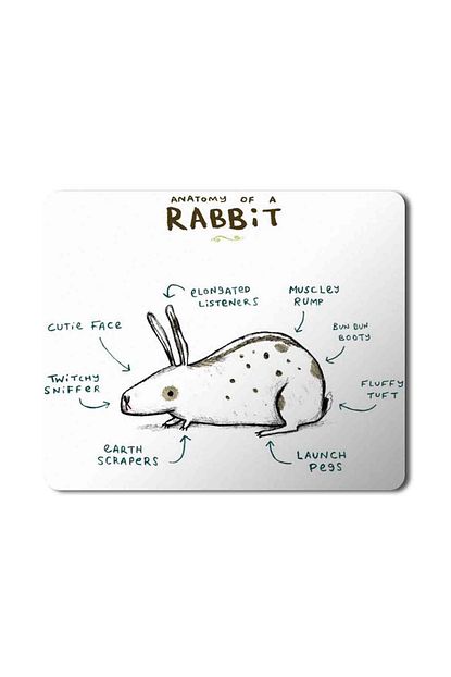tavsan anatomisi anatomy of a rabbit mouse pad mousepad