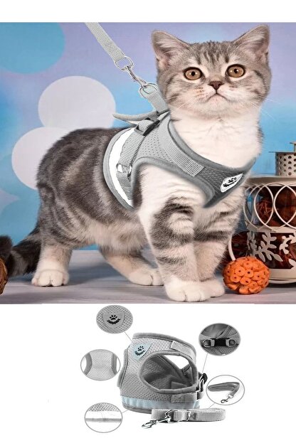 silaypet kedi gogus gezdirme tasmasi m beden fiyati yorumlari trendyol