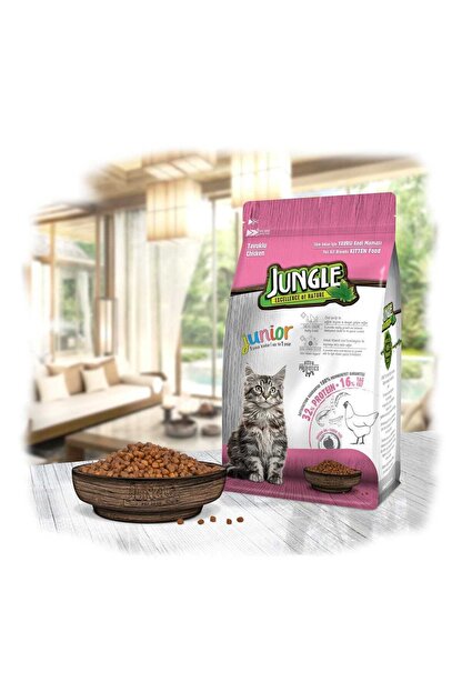 jungle junior tavuklu yavru kedi mamasi 500 gr fiyati yorumlari trendyol