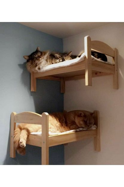 Masculinola Mimarlik Kucuk Ozel Tasarim Ahsap Kedi Yatagi Trendyol