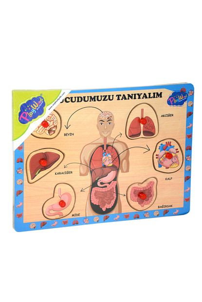 Play Wood Ahsap Egitici Vucudumuzu Taniyalim Puzzle Seti Trendyol