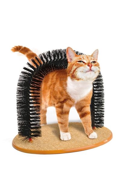 Tukotech Purrfect Arch Kedi Tirmalama Ve Kasinma Tahtasi Trendyol