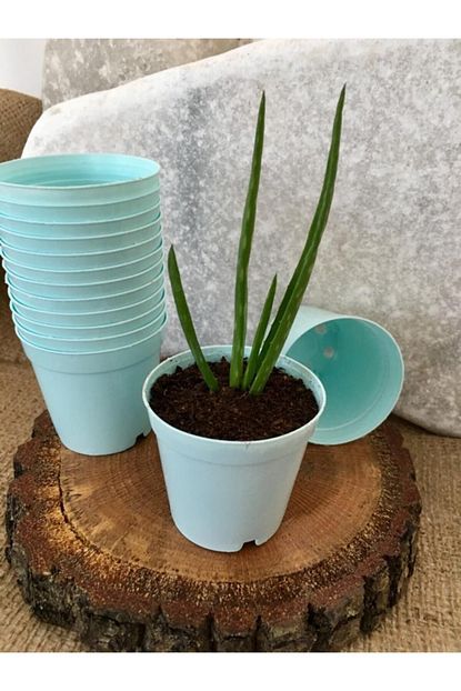 Ekodoga Kaktus Saksisi 5 5x5 Cm 25 Adet Mavi Renk Sukulent Saksisi Uretim Saksisi Plastik Saksi Renkli Saksi Trendyol