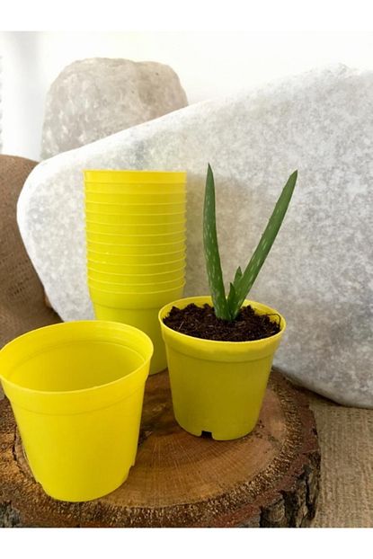 Ekodoga Kaktus Saksisi 5 5x5 Cm 25 Adet Sari Renk Sukulent Saksisi Uretim Saksisi Plastik Saksi Renkli Saksi Trendyol