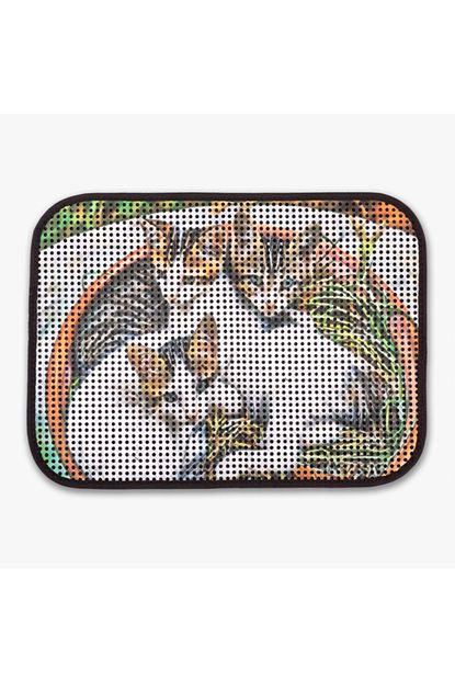 Angel Kedi Paspasi Elekli Trendyol