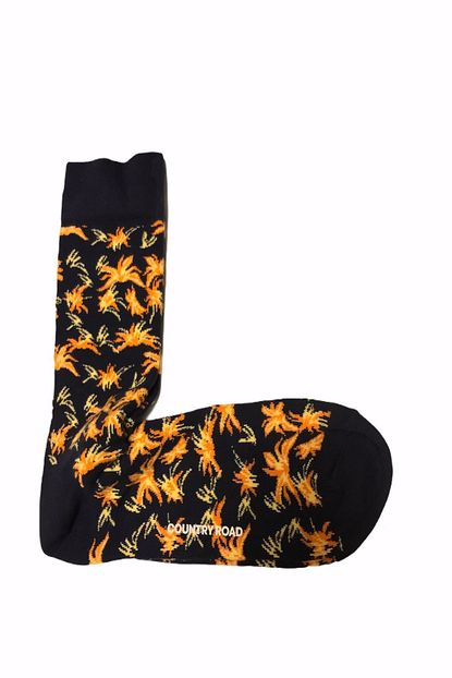 Kamelya Happy Socks Erkek Soket Corap Trendyol