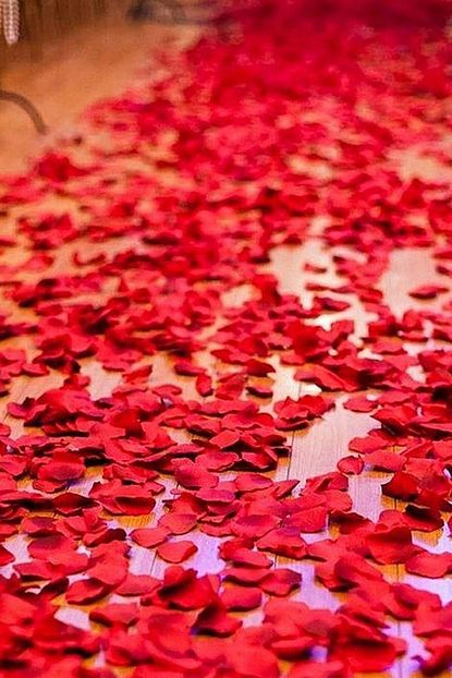 Parti Dolabi Sevgiliye Surpriz Romantik Dogum Gunu Paketi Yazi Mum Ve Balon Vs Trendyol