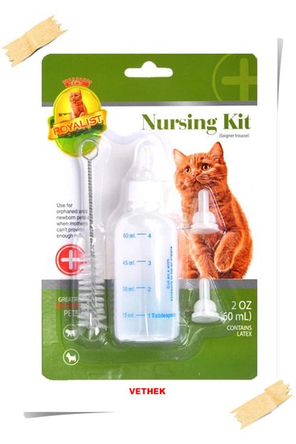 royalist yavru kedi biberonu 60 ml fiyati yorumlari trendyol